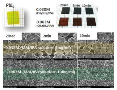 MAI 농도와 침지 시간에 따른 페로브스카이트 박막의 미세구조 변화