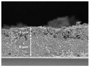 disk 및 disk +nanofiber 형태의 TiO2 박막의 SEM 이미지