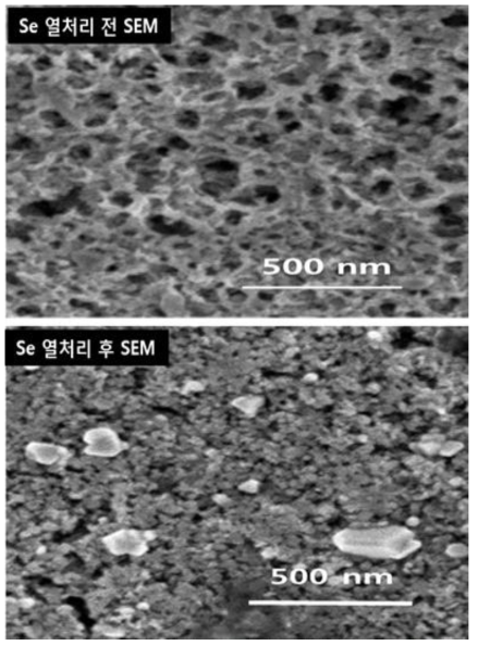 CuIO+TiO2 박막의 열처리 전후 SEM 이미지