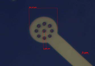 한 전극라인의 끝 부분에는 지름 2um 크기의 버섯모양 전극 9개가 배 치된다.