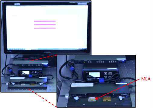 제작한 MEA를 이용하여 신호 측정을 위한 interface