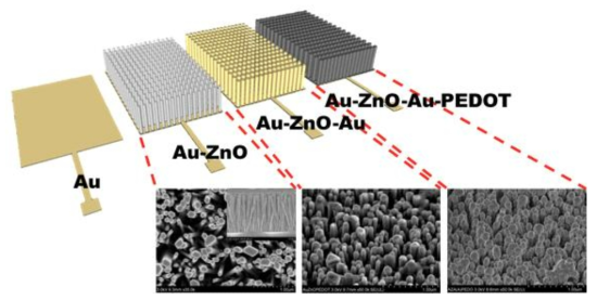 ZnO Nanowires와 PEDOT를 이용한 site 구조와 SEM 이미지