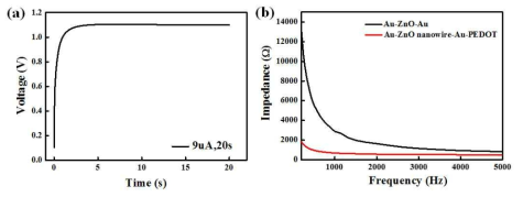 (a) PEDOT층 성장을 위한 chronopotentiometry (b) Au-ZnO NW-Au 및 Au-ZnO NW-Au-PEDOT 전극의 임피던스 측정