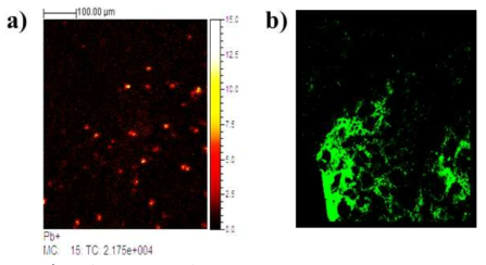 a) SIMS and b) confocal image of NeuN-PbS QDs.