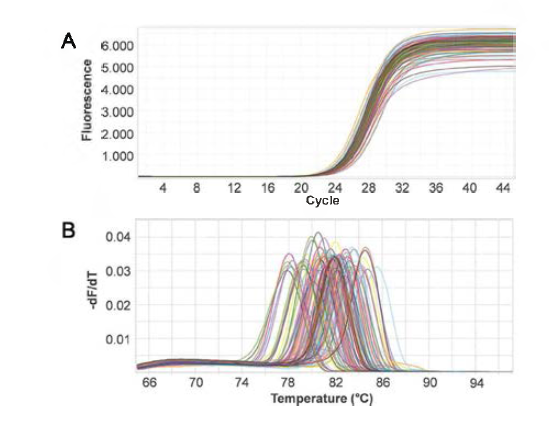 루각수용체 유전자 96개의 primer에 대한 qPCR 실험 결과