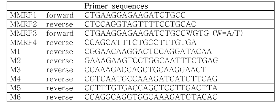 multiple MAGE recognizing primers(MMRPs)의 forward와 reverse primer의 sequence들과 각 MAGE1-6 특정 reverse primer의 sequence