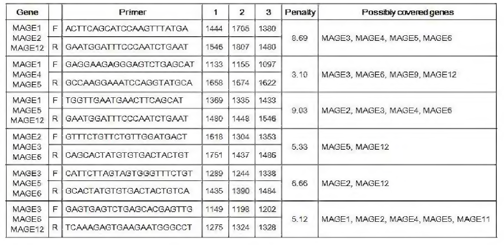 특정 다수의 MAGE 표적 서열(여기서는 3개)을 증폭시키는 primer들 sequence와 표적상의 위치, penalty score 그리고 sequence가 정확하진 않지만 주가로 증폭시킬 수 있는 MAGE유전자 리스트(possibly covered genes).