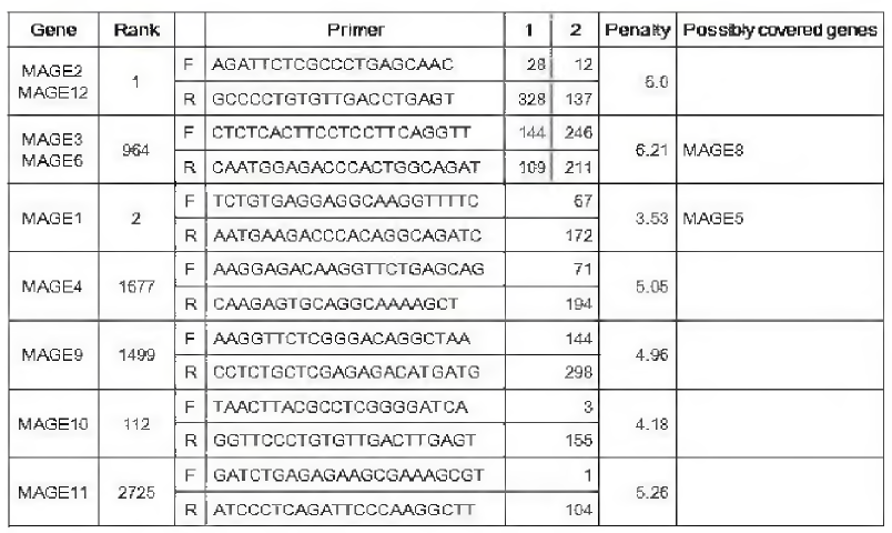 MAGE1-12에 대해 genomic DNA 위양성 이 primer들 sequence와 표적상의 위치, penalty sequence가 정확하진 않지만 추가로 증폭시킬 수 배재된 7개의 score 그리고 있는 MAGE유전자 리스트(possibly covered genes).