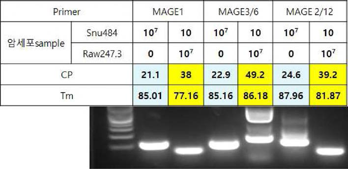 암세포 sample 107개 대비 정상세포 0개로 실험을 한 경 우와 암세포는 10개 대비 정상세포 107개로 실험을 한 결과