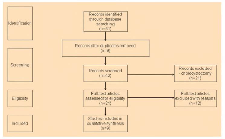 Flowchart of the present study based on PRISMA .