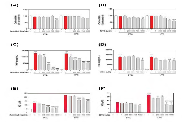 Effects of AMC on IFN—γ— or LPS—induced cytotoxicity and expression levels of TNF—α and NO.