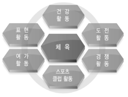 학교스포츠클럽 활동의 체육교과 편입