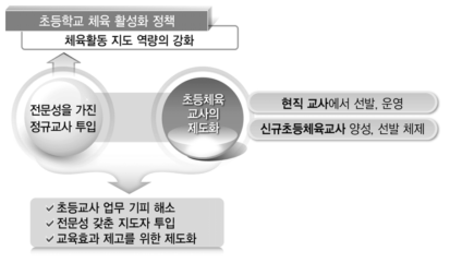 초등체육 지도 역량 강화 정책 구조