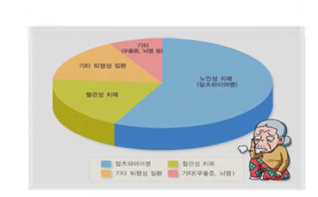 노인성 질환 중 치매 발생 비율