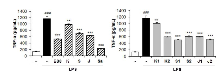 BV-2 세포에人i SCD-B-033의 LPS_ind니ced TNF-a production에 대한 억제 효능