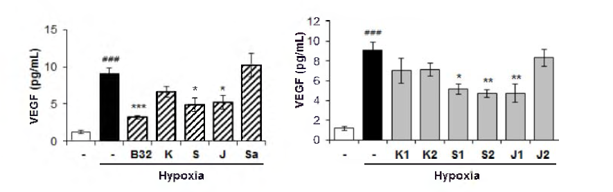 BEC 세포에서 SCD-B-032의 hypoxia-inckjced VEGF prod니ction에 대한 억제 효능