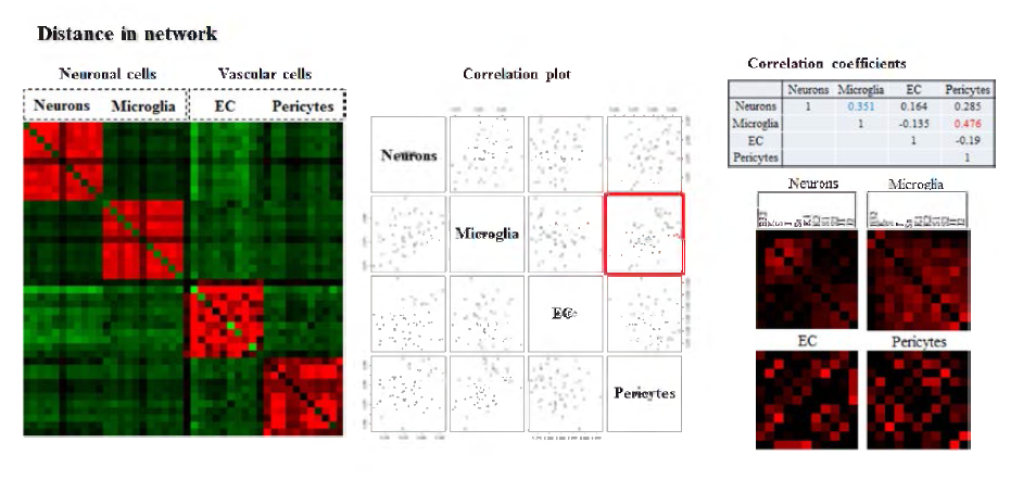 네트워크상에서의 거리에 따른 세포별 및 약재별 유사도 패턴구조 및 상관성 측정