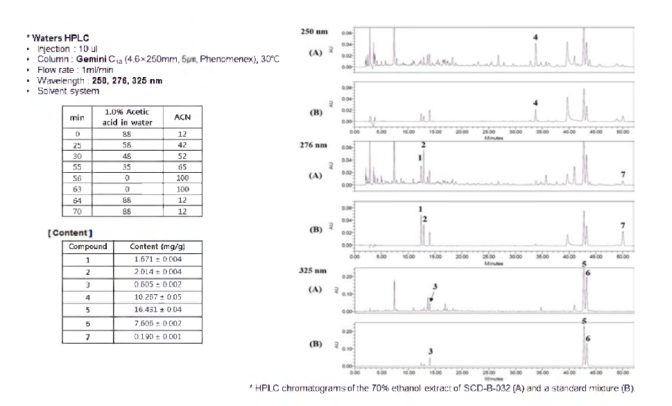 HPLC에 의한 치매 한약 처방 SCD-B-032의 다성분 동시분석