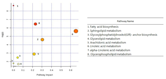 통증관련 ID된 대사체의 metabolic pathway analysis