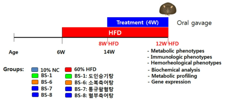 어혈처방 동물실험 전체 추진체계