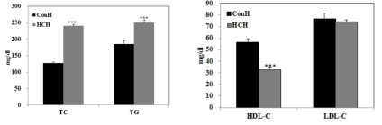 19주간 유도한 햄스터 모델의 대조군(ConH)과 고콜레스테롤(HCH) 그룹간의 혈청 내 TC, TG 및 HDL-C, LDL-C 분석