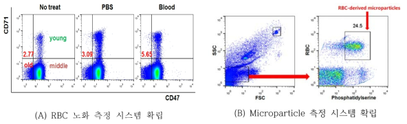 유세포분석기를 이용한 RBC노화 마커, macroparticle 측정 시스템 확립