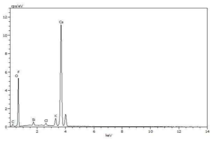 10 wt%의 HCl용액에서 합성된 CaF2의 EDS 스펙트럼(run 6)