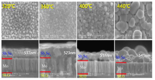 셀렌 열처리 온도에 따른 Sb2Se3 흡수층 SEM 이미지