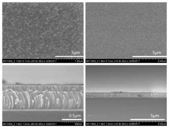 구리-아연 동시 스퍼터링으로 증착한 박막의 SEM 표면(상) 및 단면(하) 사진
