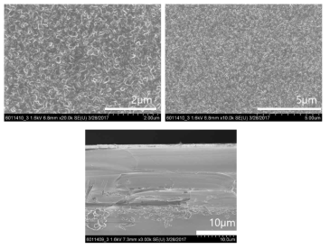 구리-주석 동시 스퍼터링으로 증착한 박막의 SEM 표면(상) 및 단면(하) 사진