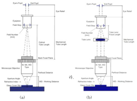 유한초점방식 검경(a)과 무한초점방식 검경(b)