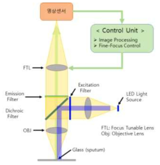 초점가변 검경의 구성 및 광경로