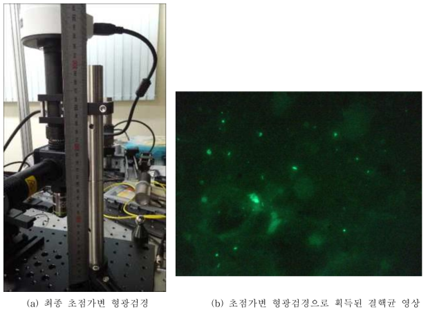 광학배율 조정을 통해 최종 완성된 초점가변 형광검경(a)과 획득된 결핵균 영상(b)