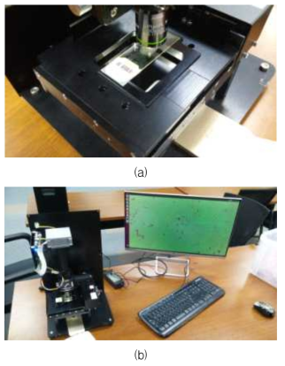 자동검사 시스템의 재물대에 장착된 객담 슬라이드(a)와 검경을 통해 획득된 영상(b)