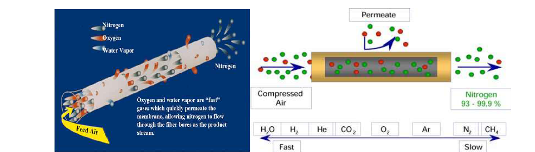 기체분리막 원리 및 가스에 따른 상대적인 투과속도