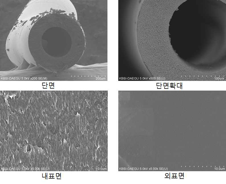 스폰지구조를 갖는 중공사막의 단면구조