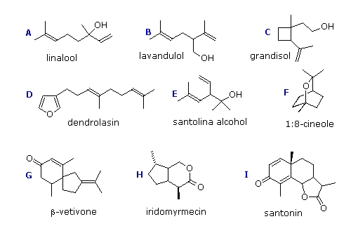 테르펜(Terpene)의 구조