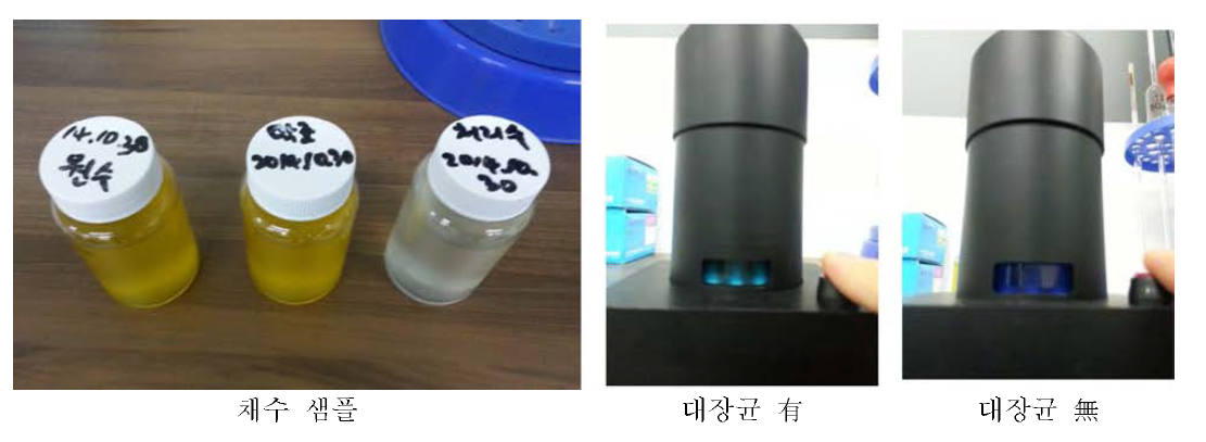 저 능도오수, 막처 리수와 접 촉산화반응처 리수의 대 장 균 (E. Coli) 유무 확인