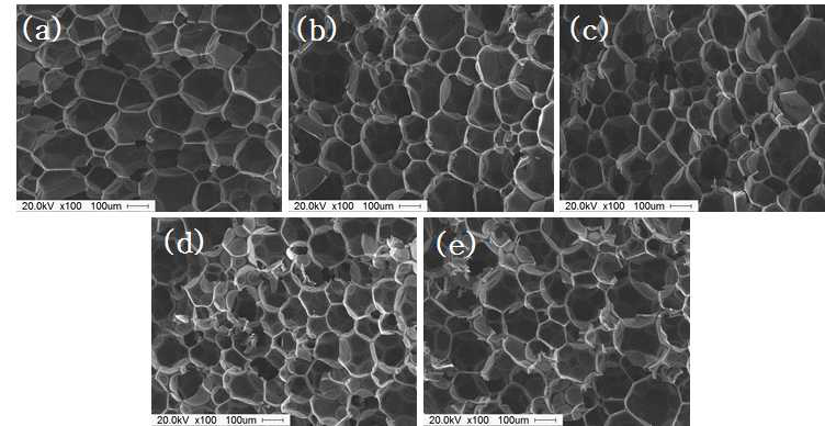 SEM micrographs of rigid polyurethane foam nanocomposites filled with various halloysite nanotube concentrations: (a) control; (b) H 0.15; (c) H 0.30; (d) H 0.60; (e) H 1.20