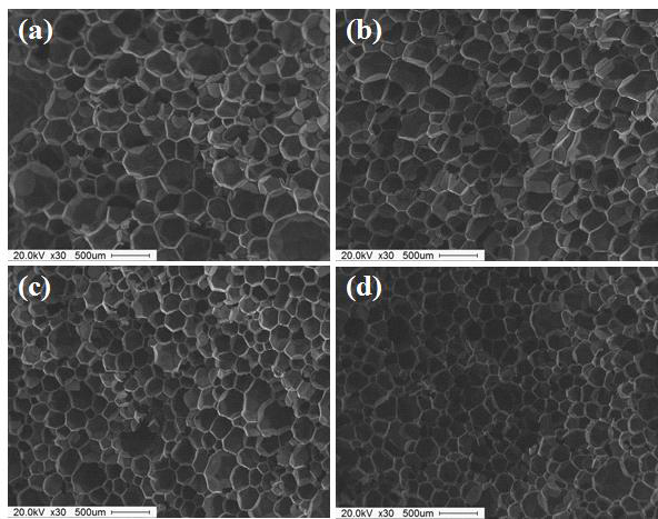 SEM으로 관찰한 recycled polyol(2) 첨가량 변화에 따른 경질 폴리 우레탄 폼 의 cell 형상 : (a) Con; (b) P-20; (c ) P-40; (d) P-60
