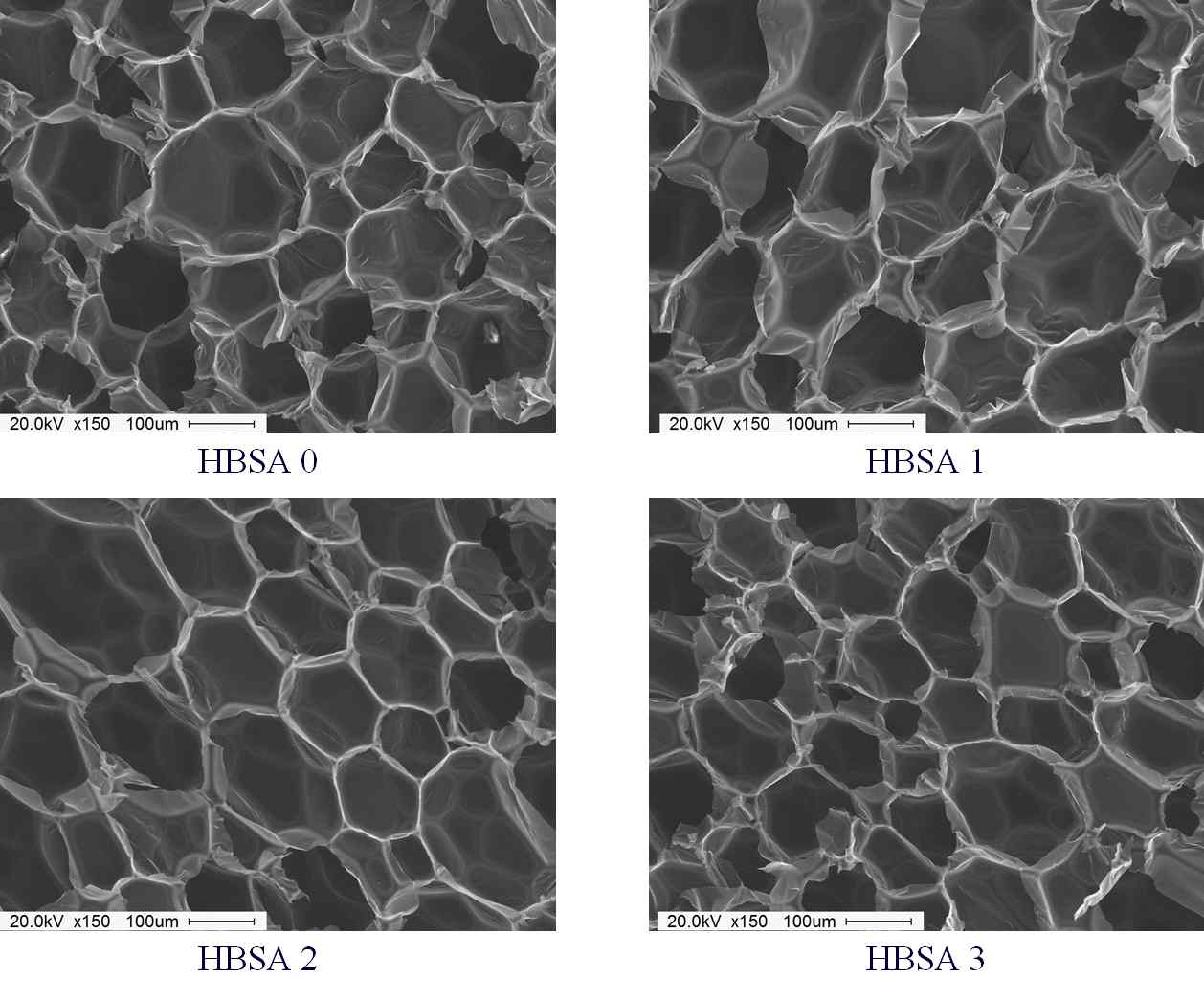 경질 폴리우레탄 폼 제조시 HBSA 첨가에 따른 SEM 으로 관찰한 cell 형상