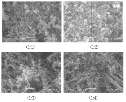 SEM images of Fe nanoparticles obtained at various ratios of FeCl3 : PVP (Fe (III) : NaBH4 = 1 : 5, Na4P2O7 = 100 mg/L)
