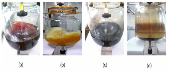 Images of solution for Fe nanoparticles with time :(a) before input of reductant (b) 10min after input of reductant (c) 30min after 10min after input of reductant (d) 30min after finish of Fe nanoparticle synthesis