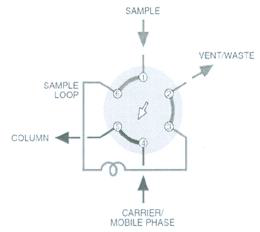 Scheme of Sample Loading