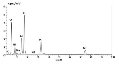 EDS data of Ni/KY.