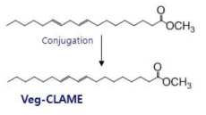 Synthetic scheme of conjugated linoleic acid methyl ester.