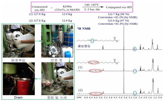 Process and Synthetic Results of Conjugation Reaction using Soy-BD