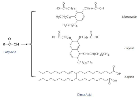 Synthetic scheme of dimer acid using fatty acid.