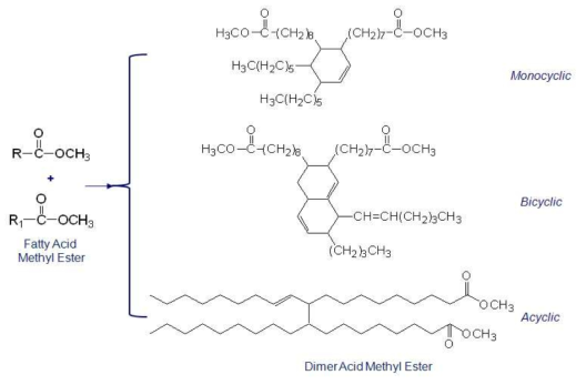Synthetic scheme of dimer acid methyl ester.