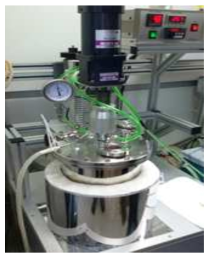10 L pressure reactor for synthesis of DAME.
